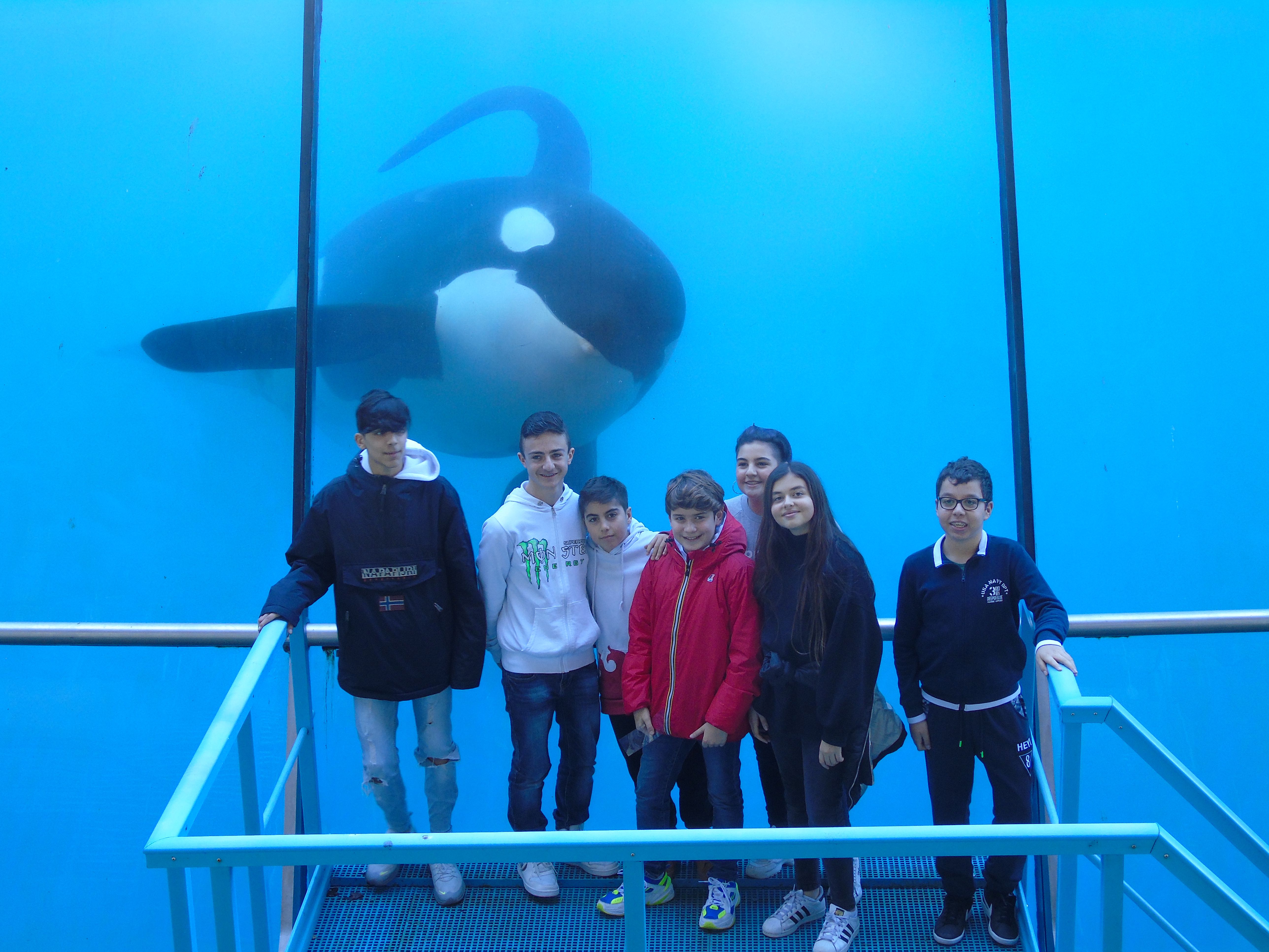 Marineland 2019